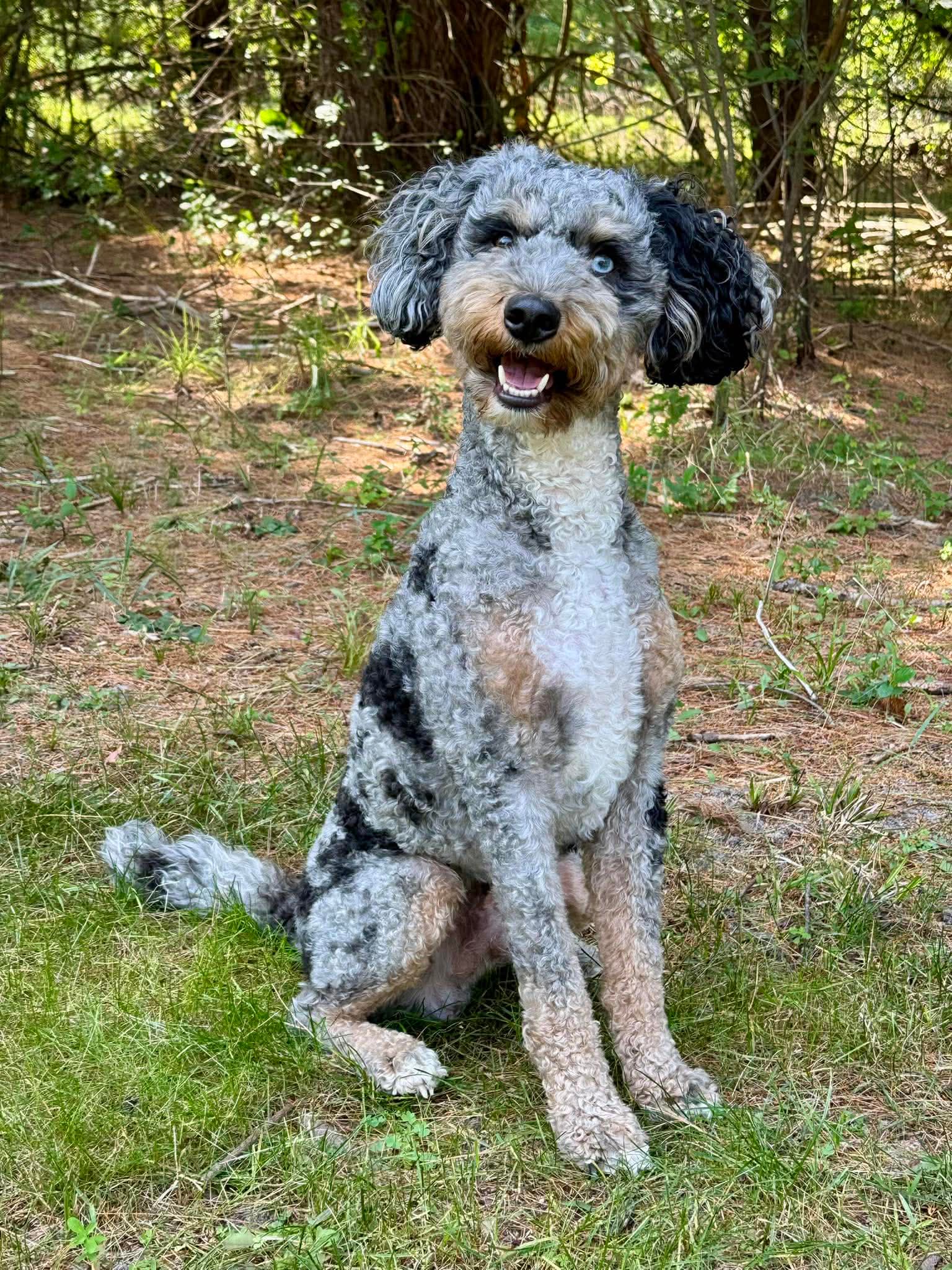 Remy