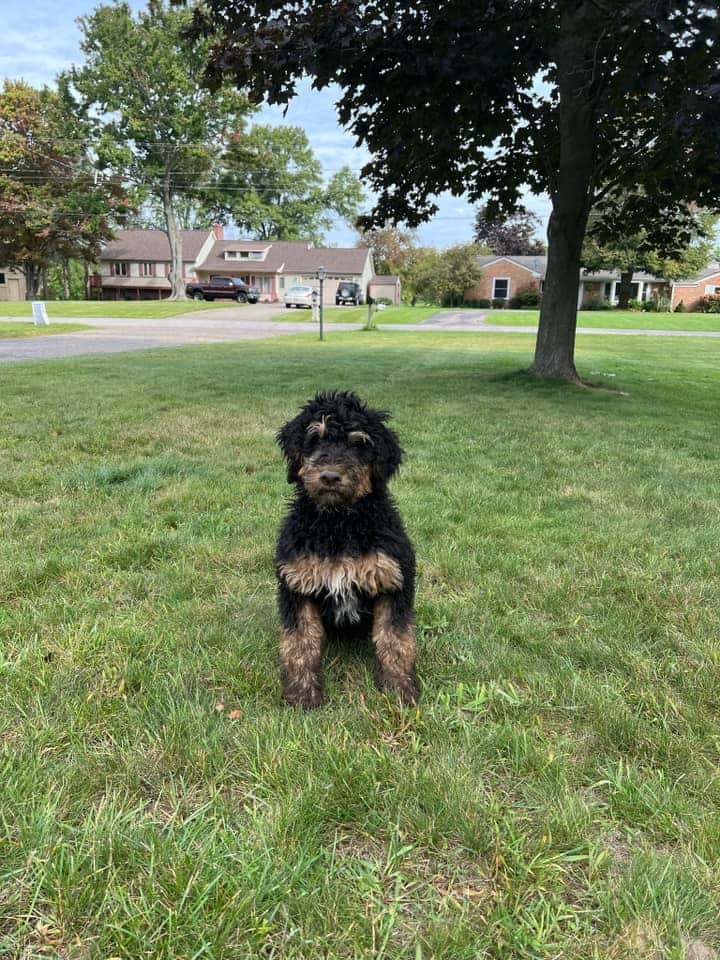 Testimonial - Charlie